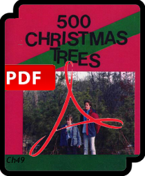 It was their own little forest 500 Christmas Trees PDF