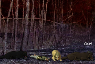 Star-Boy sees the stars Star Boy