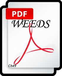 Seduction from life Weeds PDF